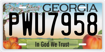 GA license plate PWU7958