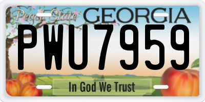 GA license plate PWU7959