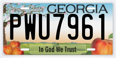 GA license plate PWU7961
