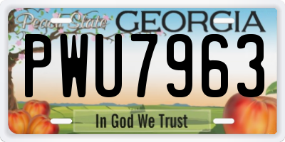 GA license plate PWU7963
