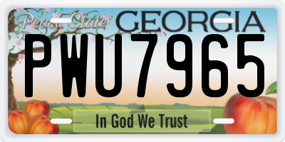 GA license plate PWU7965