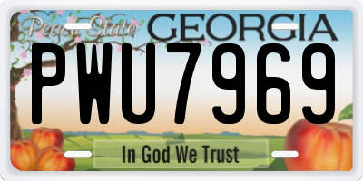 GA license plate PWU7969