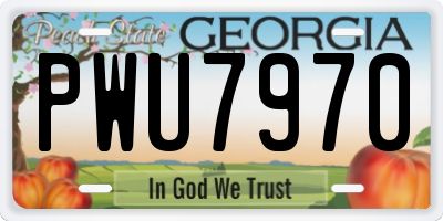 GA license plate PWU7970