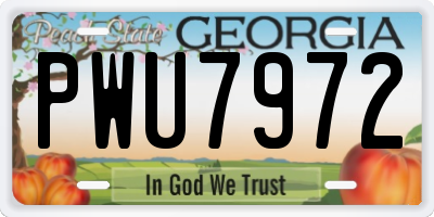 GA license plate PWU7972