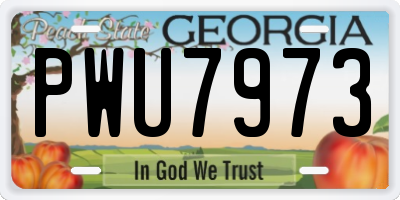GA license plate PWU7973