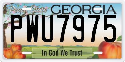 GA license plate PWU7975