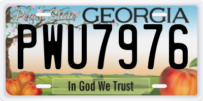 GA license plate PWU7976