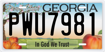 GA license plate PWU7981