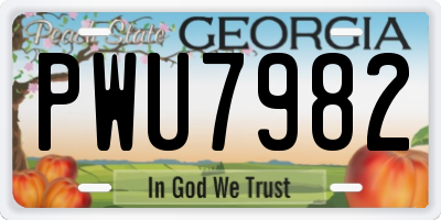GA license plate PWU7982