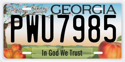 GA license plate PWU7985