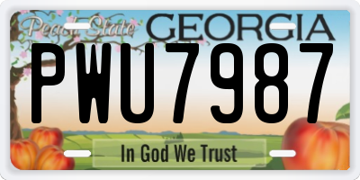 GA license plate PWU7987