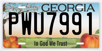 GA license plate PWU7991