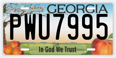 GA license plate PWU7995
