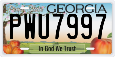 GA license plate PWU7997