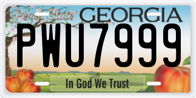 GA license plate PWU7999