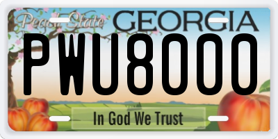 GA license plate PWU8000