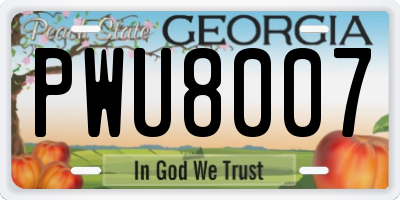GA license plate PWU8007