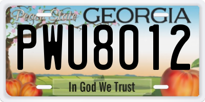 GA license plate PWU8012