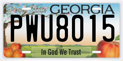 GA license plate PWU8015