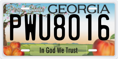 GA license plate PWU8016
