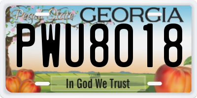 GA license plate PWU8018