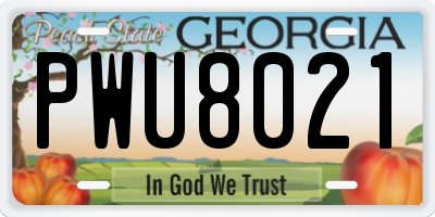 GA license plate PWU8021