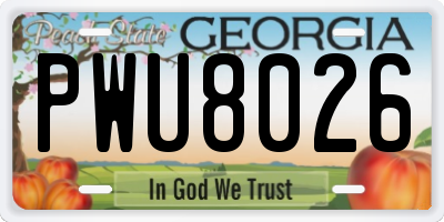 GA license plate PWU8026