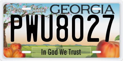 GA license plate PWU8027