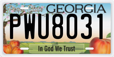 GA license plate PWU8031