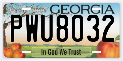 GA license plate PWU8032