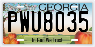GA license plate PWU8035