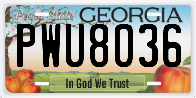 GA license plate PWU8036