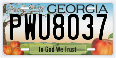 GA license plate PWU8037