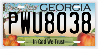 GA license plate PWU8038