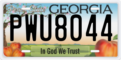 GA license plate PWU8044