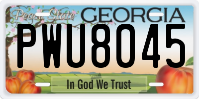 GA license plate PWU8045