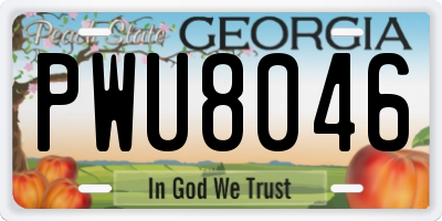 GA license plate PWU8046