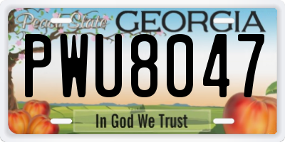 GA license plate PWU8047