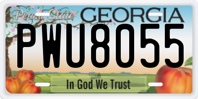 GA license plate PWU8055