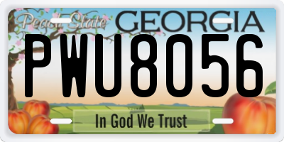 GA license plate PWU8056