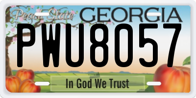 GA license plate PWU8057