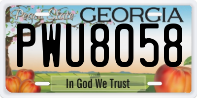 GA license plate PWU8058