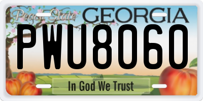 GA license plate PWU8060