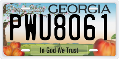 GA license plate PWU8061
