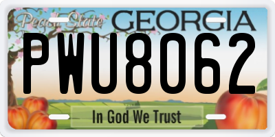 GA license plate PWU8062
