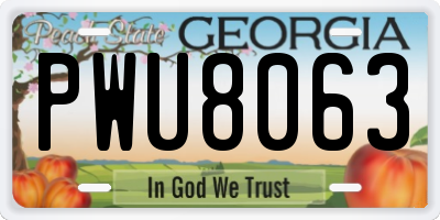 GA license plate PWU8063