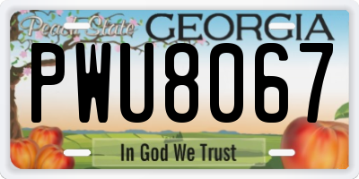 GA license plate PWU8067