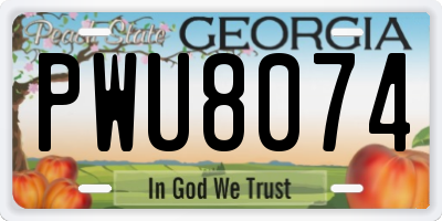 GA license plate PWU8074