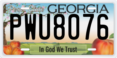 GA license plate PWU8076