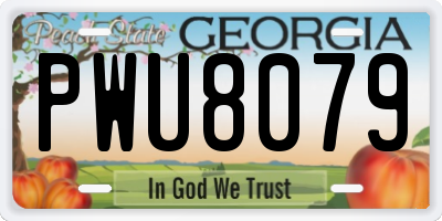 GA license plate PWU8079